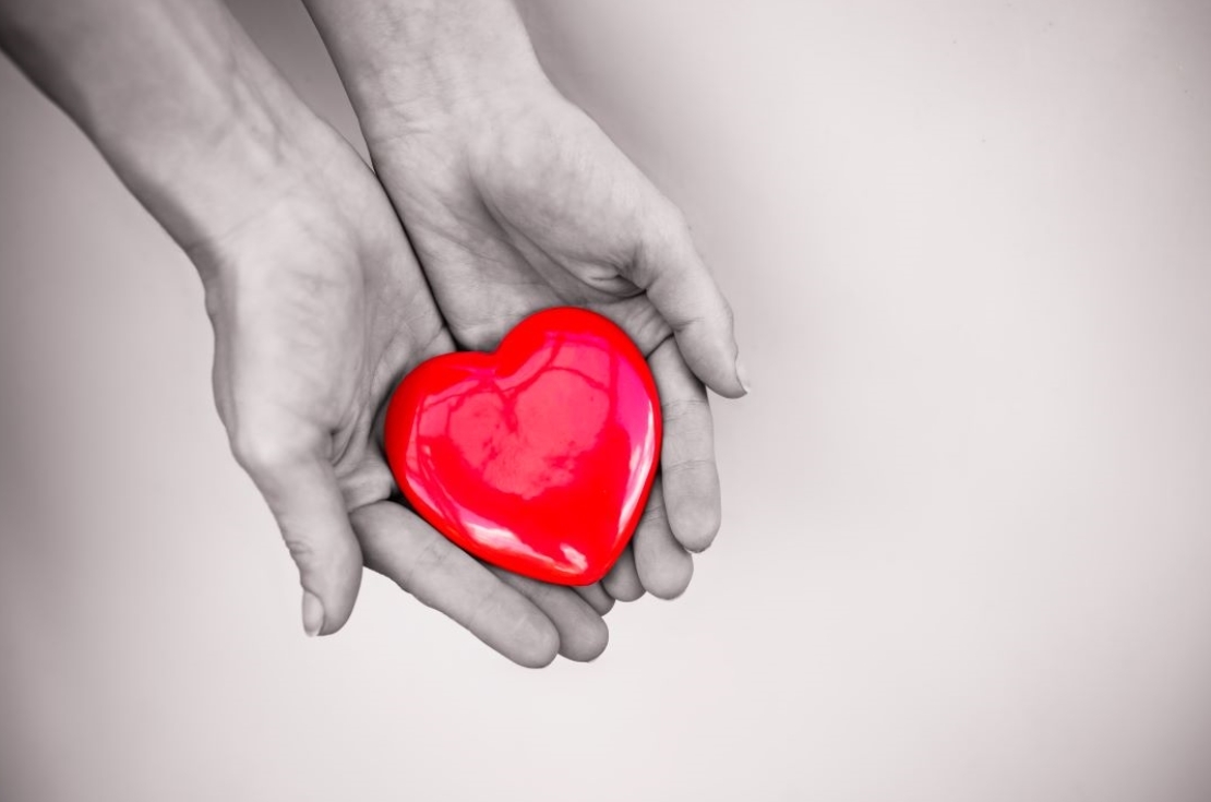 Hands holding a heart